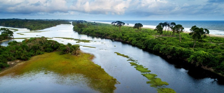 Gabon — Loango National Park, where hippos and elephants roam Atlantic beaches