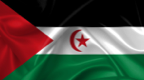 Flag of Western Sahara