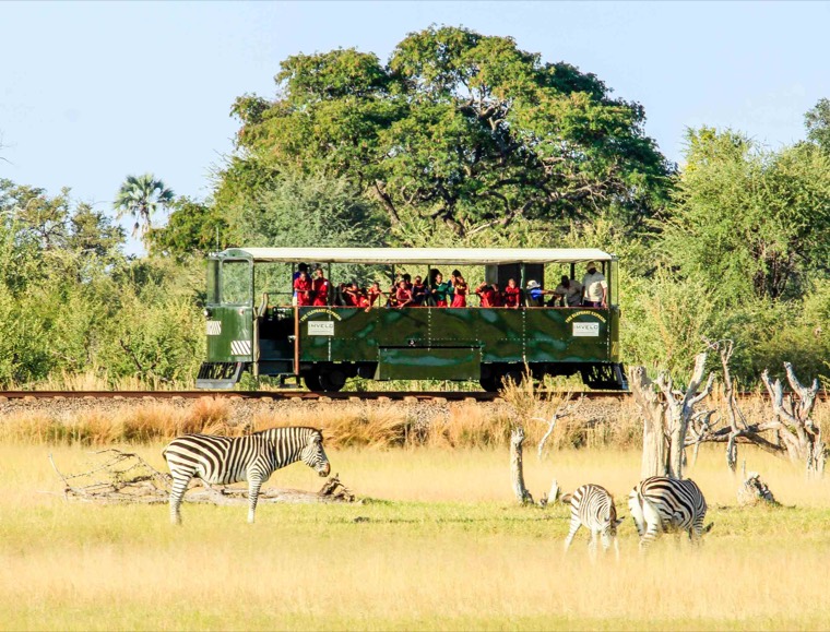 Zimbabwe — Great Zimbabwe's stone ruins and Hwange's elephant herds